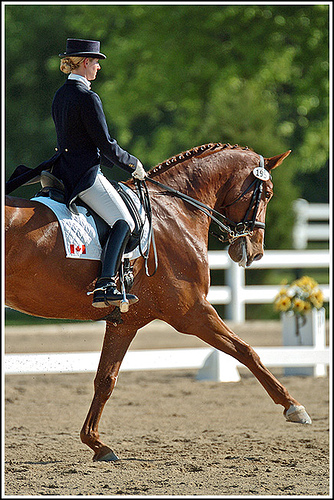 Tina Busse-Irwin                                                                